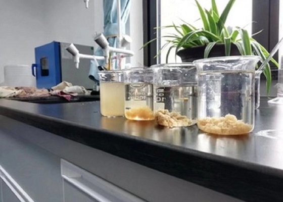 化学砂の洗浄凝固剤の炭鉱の植物の添加物は浄水の企業の製紙工場を